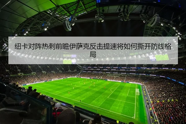 纽卡对阵热刺前瞻伊萨克反击提速将如何撕开防线格局